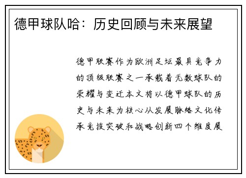 德甲球队哈：历史回顾与未来展望