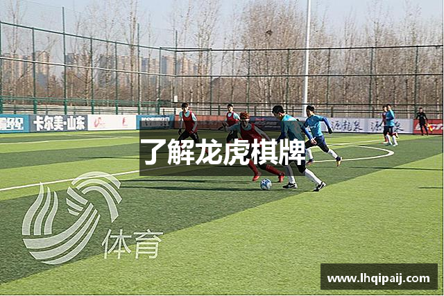 了解龙虎棋牌